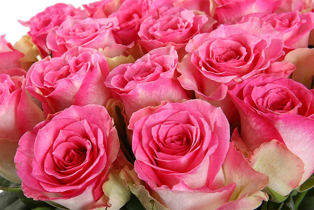 ����������� 4-2.jpg