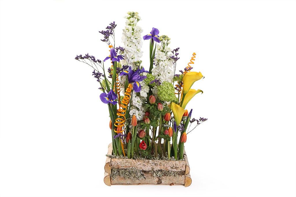 zhflowers 4-2.jpg zhflowers 4-2.jpg