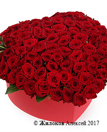 ����� �������� ����� � ������� ������� ������