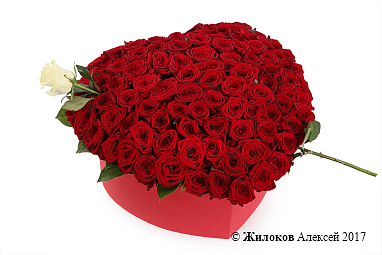 ����� �������� ����� � ������� ������� ������