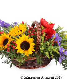 ����� ������ ������