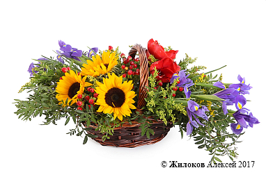 ����� ������ ������