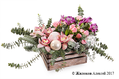 ���������� �������������� ����� � �����