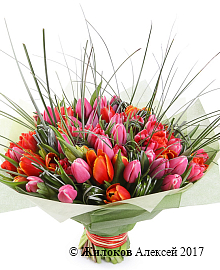 ����� ��������� �����