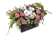 ���������� ����������� � ������ � �����