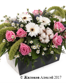 ���������� ����������� � ������ � �����