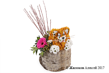 ���������� ��� ������