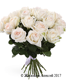 ����� 25 ��� ���� �'����