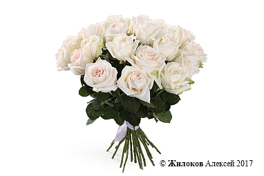 ����� 25 ��� ���� �'����