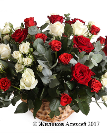 ����� ��� � ����� � �������