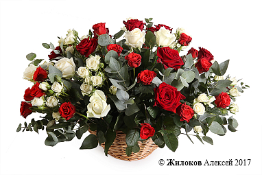 ����� ��� � ����� � �������