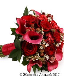 ����� ������� � �������� ������� ������� ��������