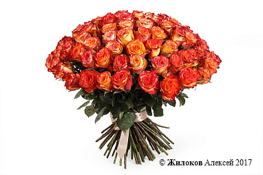 ����� 101 ���� ��� ������