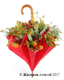 ���������� ����� �����