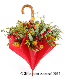 ���������� ����� �����