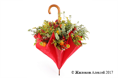 ���������� ����� �����