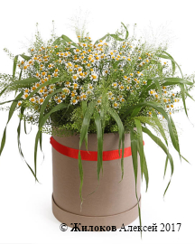 ����� � ��������� ���������� ��� � ������� �������