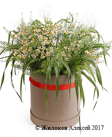 ����� � ��������� ���������� ��� � ������� �������