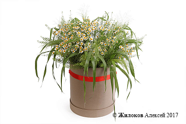 ����� � ��������� ���������� ��� � ������� �������