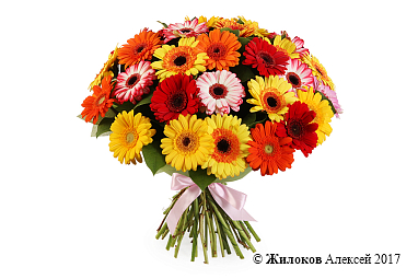 ����� � ��������� ��������