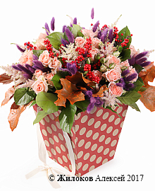 ����� ������� �������� � �������