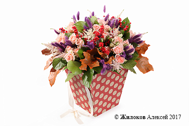 ����� ������� �������� � �������