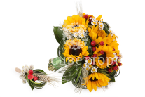 ����� ������� � ������������ ����