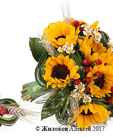 ����� ������� � ������������ ����