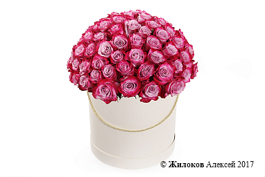 ����� 101 ���� ��� ����� � ������� �������