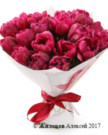 ����� 25 ����������� ���������, ���������