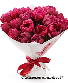 ����� 25 ����������� ���������, ���������