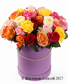 ����� ����������� ������� (51 ����) � ������� �������