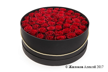 ����� 55 ��� ��� ����� � ������� �������