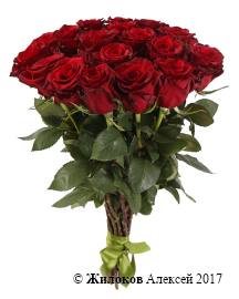 ����� 17 ��� ��� �����