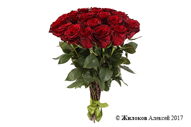 ����� 17 ��� ��� �����