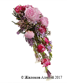 ����� ������� ����