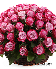 ����� 101 ���� ��� ����� � �������