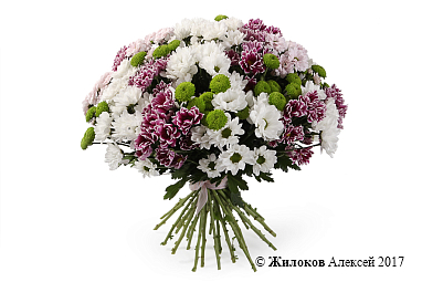 ����� 25 �������� ���������