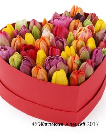 ���������� �������� ����������� � ������� ������� ������ (����), ����