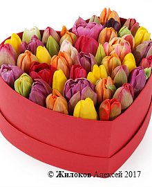 ���������� �������� ����������� � ������� ������� ������ (����), ����