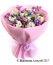 ����� ������ ���