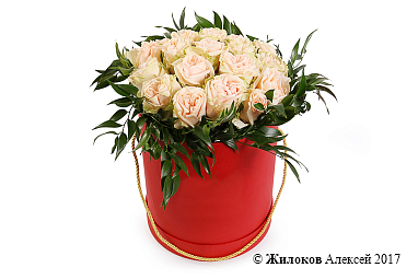 ����� ������ �������� � ������� �������