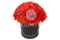 ����� 51 ���� ��� ������ � ������� �������