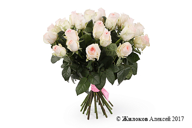 ����� 25 ��� ���������