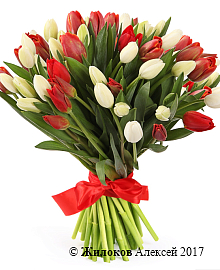 ����� 51 �������, ������-����� ����