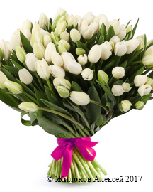 ����� 101 ����������� �������, �����