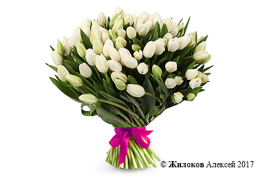 ����� 101 ����������� �������, �����