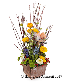 ����� ������� ����