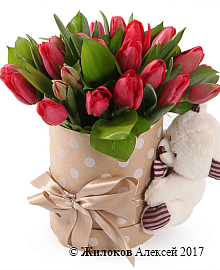 ����� ������ ������� � ������� �������