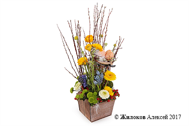 ����� ������� ����